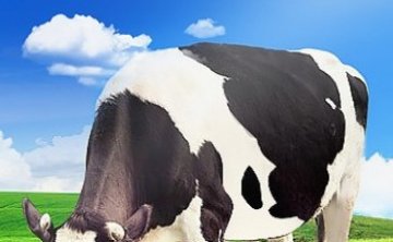 13-я конференция по молочной промышленности Китая