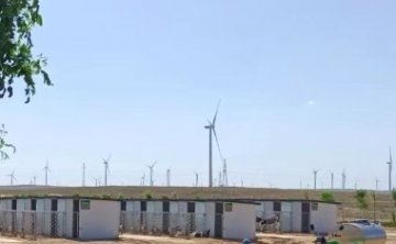 Четыре типа подстилок для молочных коров