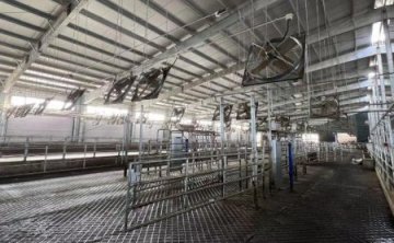 Великолепная инсталляция на ферме Нинся